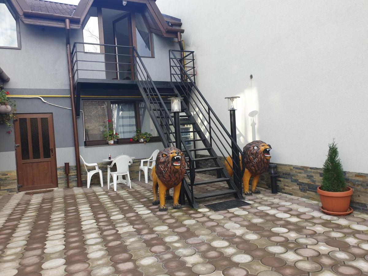 ホテル Casa Lions ティミショアラ エクステリア 写真
